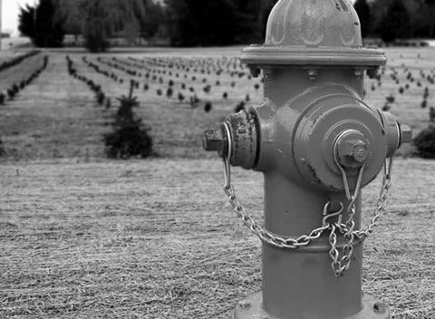 兑换网站稳定的网页电话直接拨打